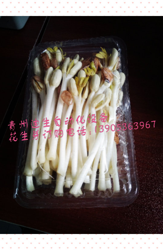 歡迎訂購(gòu)花生芽